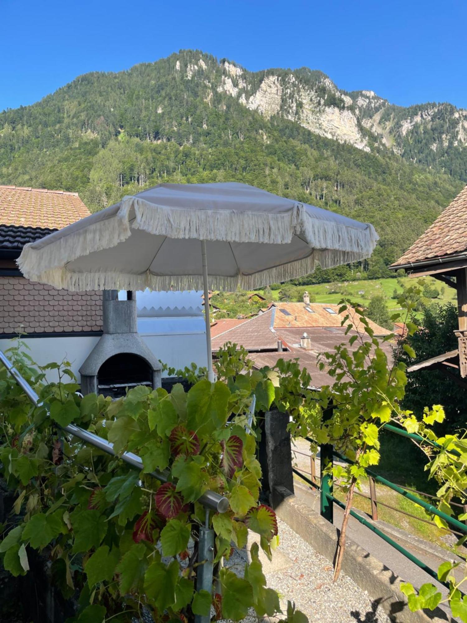 Studio In Alps By Apartments Capricorn Gsteigwiler Eksteriør billede